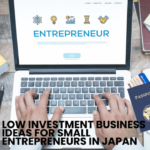 Low Investment Business Ideas for Small Entrepreneurs in Japan